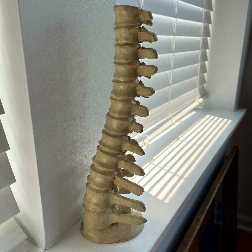 Anatomical Spine Candle Holder Vase